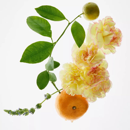 𝐙𝐀𝐑𝐀 - Perfum Golden Floral decade 30ML