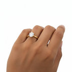 Dourado / 16